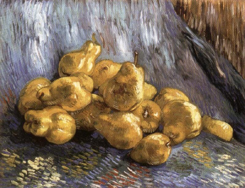 Vincent Van Gogh Still Life with Quinces Sweden oil painting art